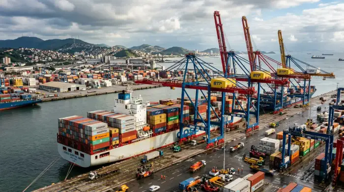 Grues et porte-conteneurs dans un port en eaux profondes d'Amérique latine
