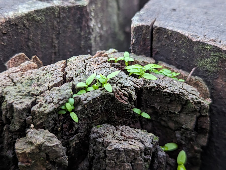 Resilience 20