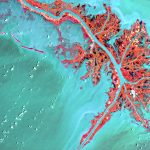 L'analyse automatisée au service de la puissance informationnelle: IA et renseignement